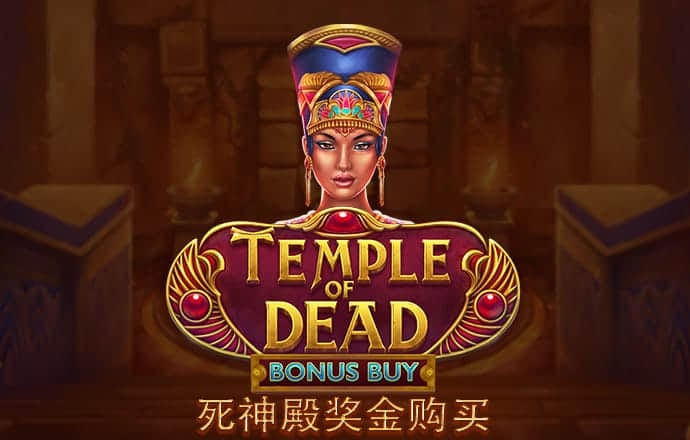 环球彩网app官方下载